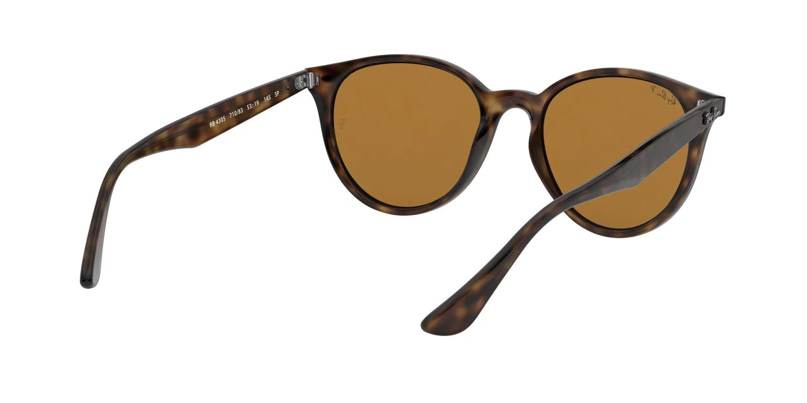 Ray-Ban 4305 Sunglasses - view 18